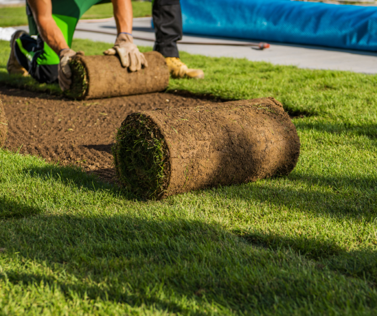 شركة تركيب عشب طبيعي في ابوظبي 0504413493 0 (0)