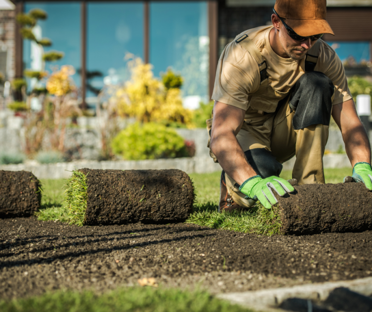شركة تركيب عشب طبيعي في الفجيرة 0504413493 0 (0)