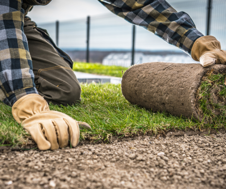 شركة تركيب عشب طبيعي في ام القيوين 0504413493 0 (0)
