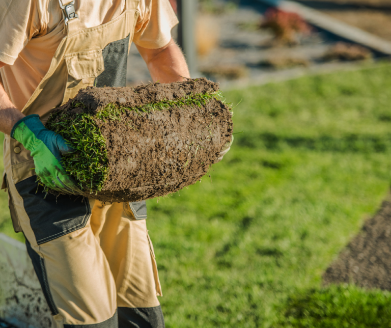 شركة تركيب عشب طبيعي في عجمان 0504413493 0 (0)