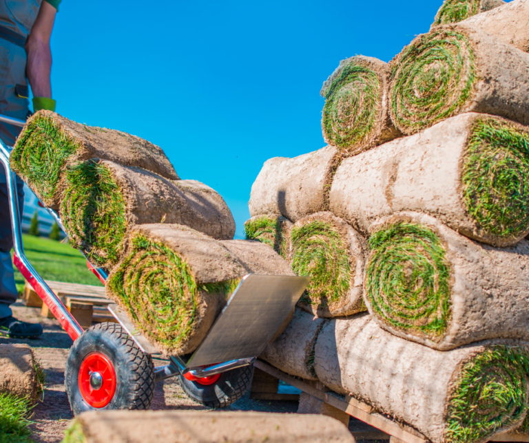 شركة تركيب عشب طبيعي في الشارقة 0504413493 0 (0)