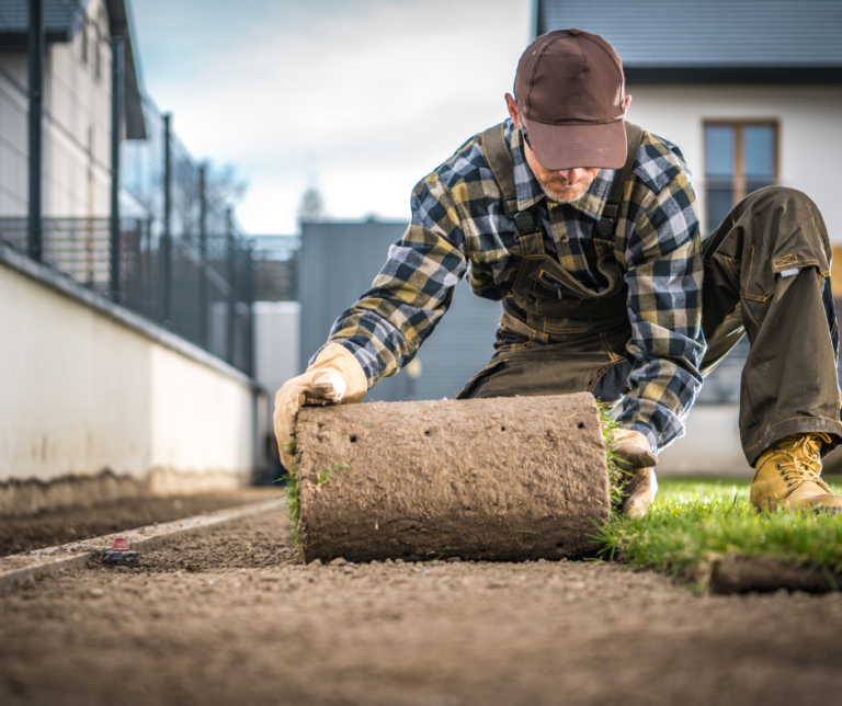 شركة تركيب عشب طبيعي