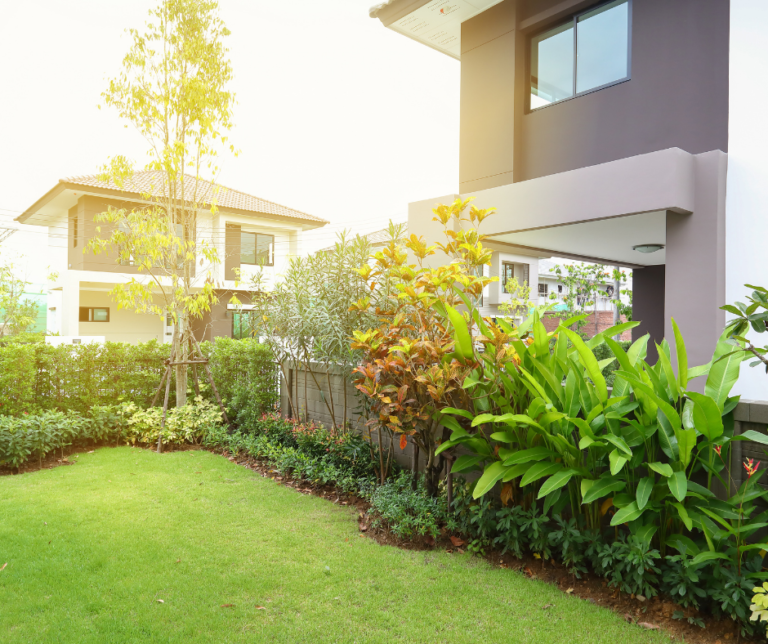 شركة لاندسكيب في العين 0504413493