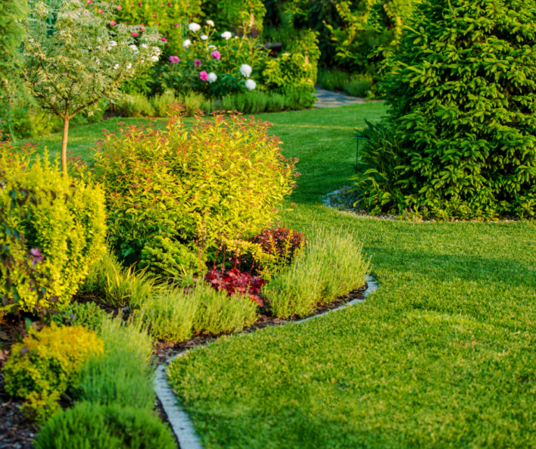 شركة لاندسكيب في ام القيوين 0504413493